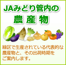 JAみどり管内の農産物