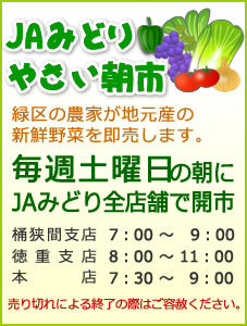 JAみどりやさい朝市