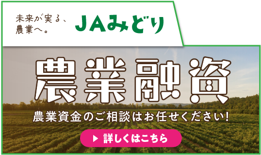 JAみどり　農業融資