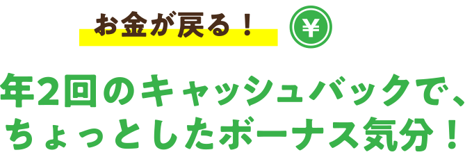 お金が戻る！年2回のキャッシュバックで、ちょっとしたボーナス気分！